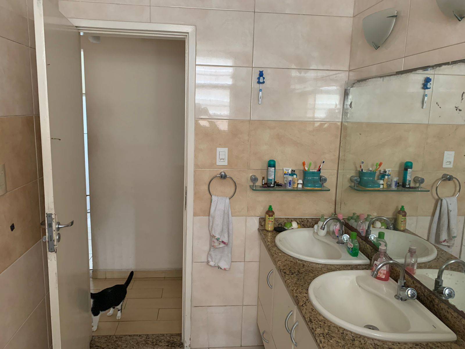 Apartamento, 3 quartos, 100 m² - Foto 12